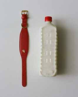milk bottle + red dog collar 